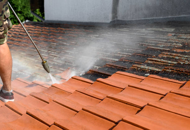 Best Roof Power Washing Services  in Lavonia, GA